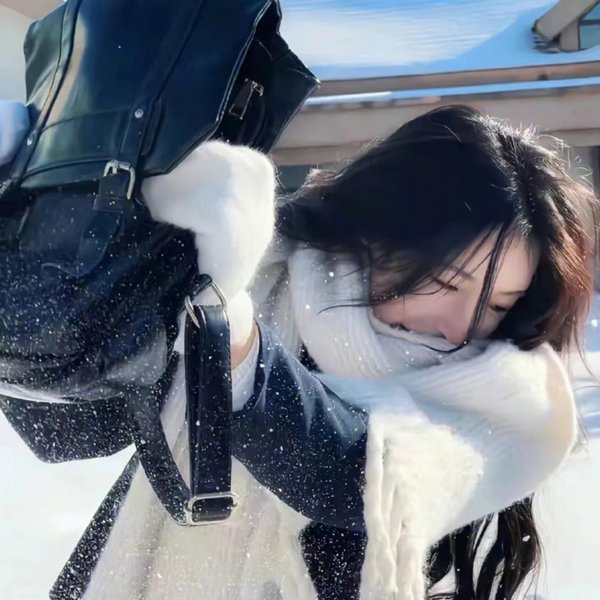 日心说